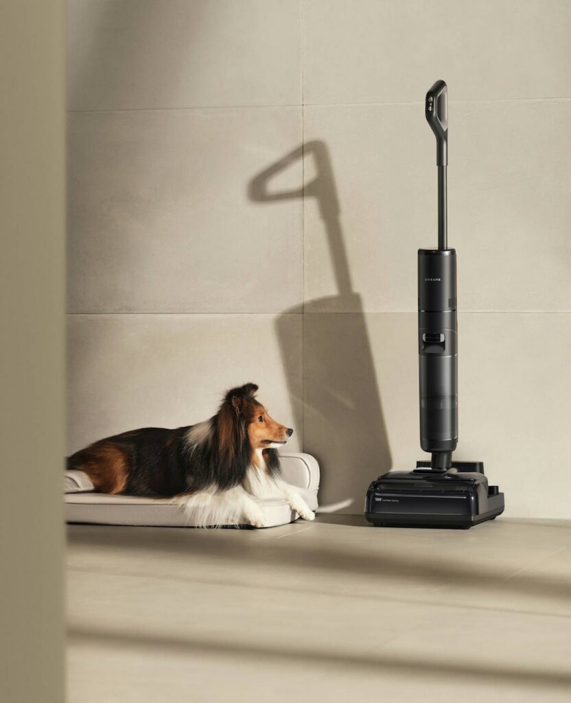 Dog and vacuum