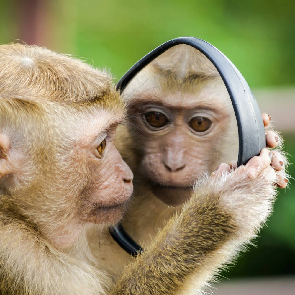 What Does It Mean to Have a Personal Brand at Work?